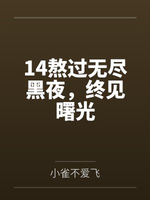 14熬过无尽黑夜，终见曙光封面