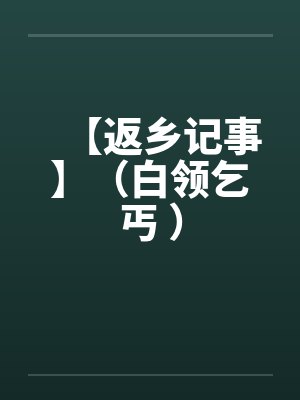 【返乡记事】（白领乞丐 ）封面